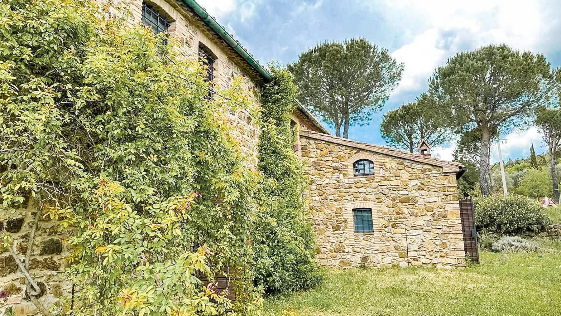 Big Image 18