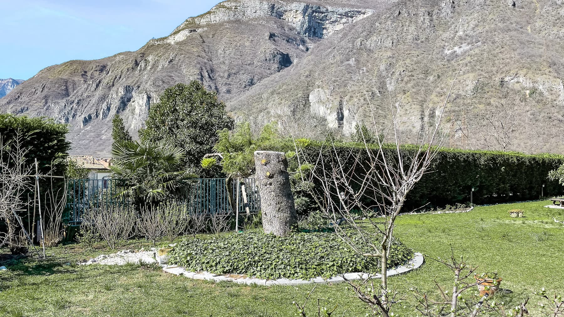 Big Image 13