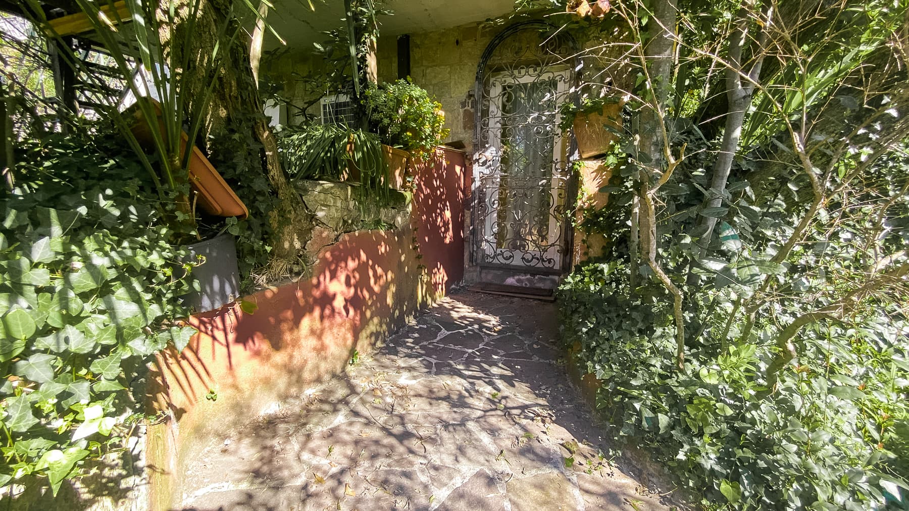 Big Image 15