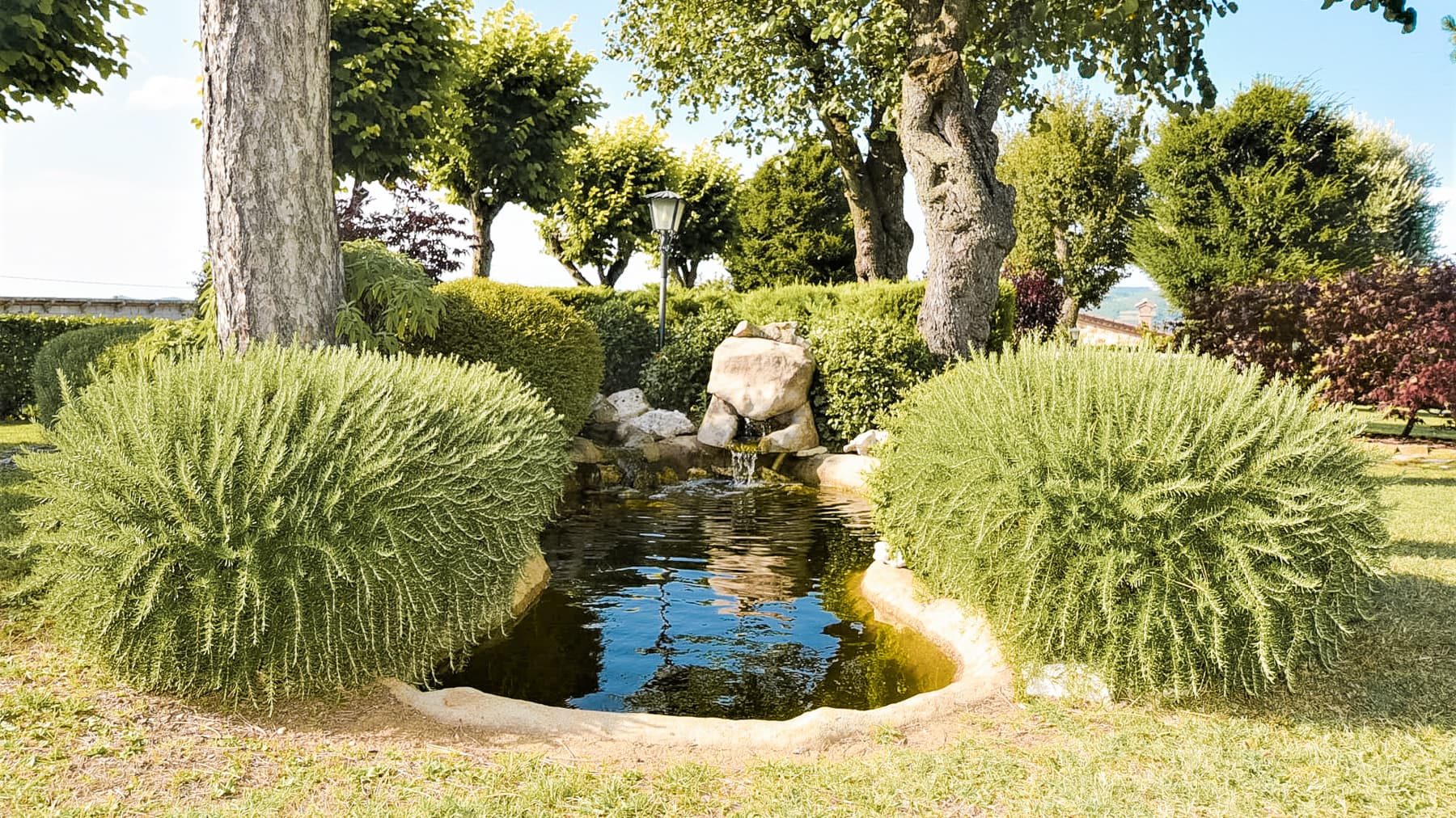 Big Image 30