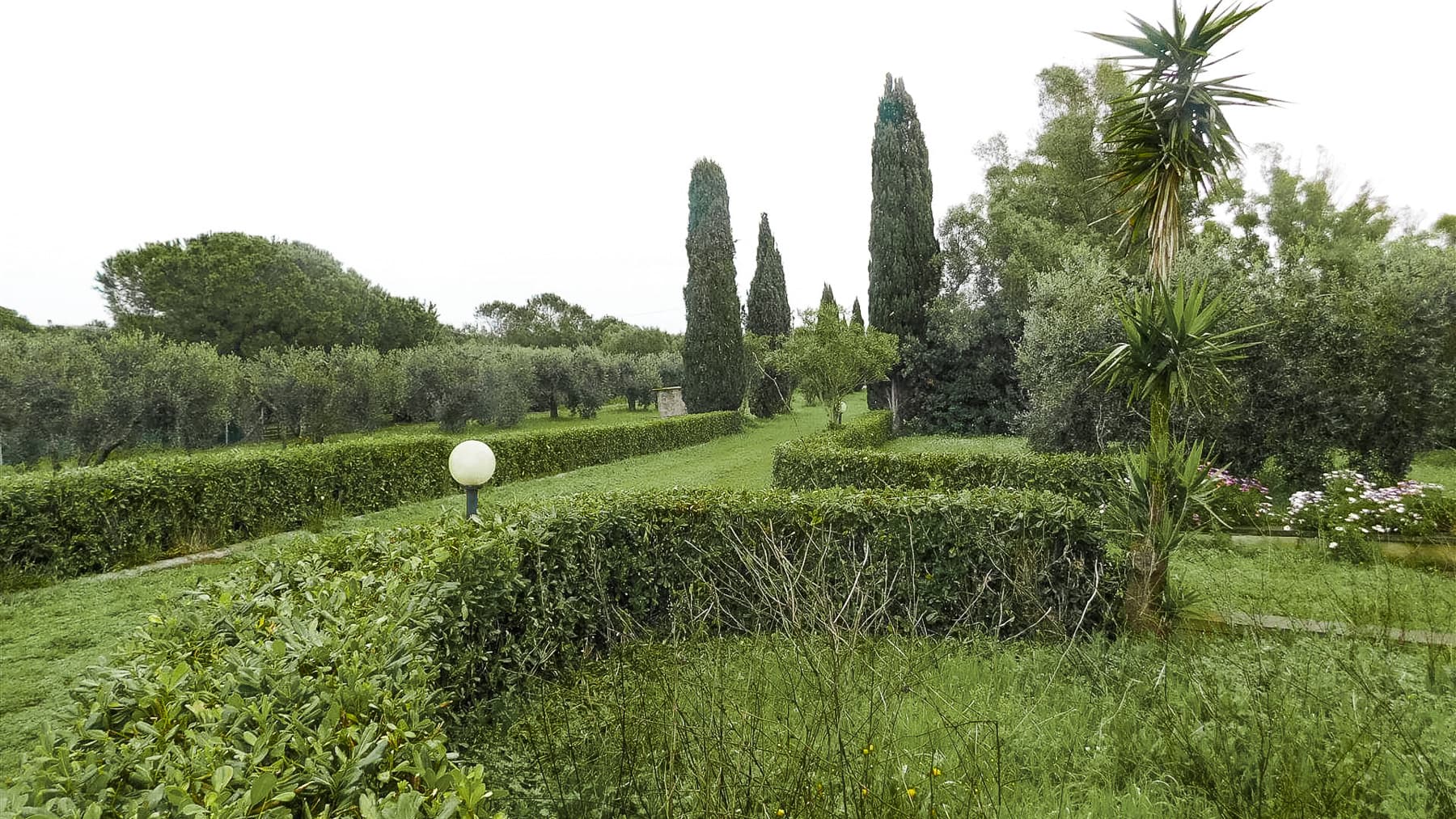 Big Image 20
