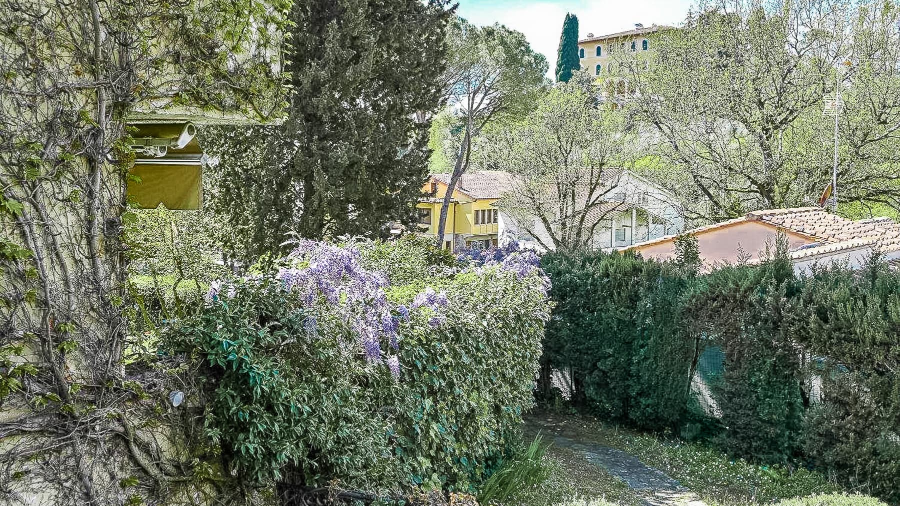 Big Image 19