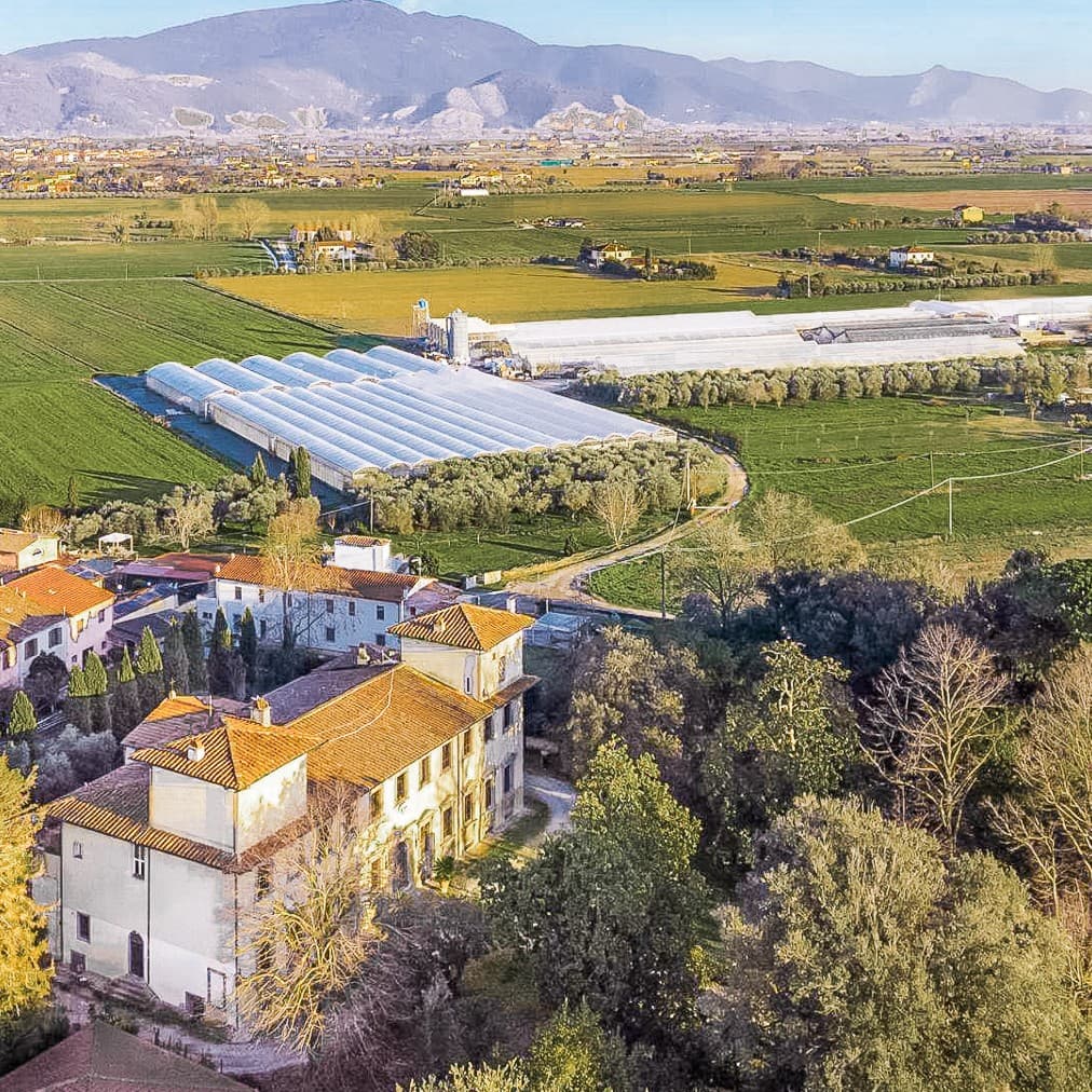 Spacious Villa in San Giuliano Terme, Tuscany