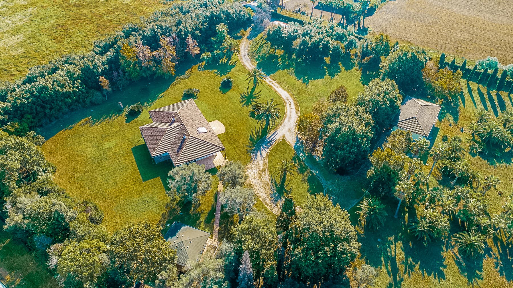 Big Image 2