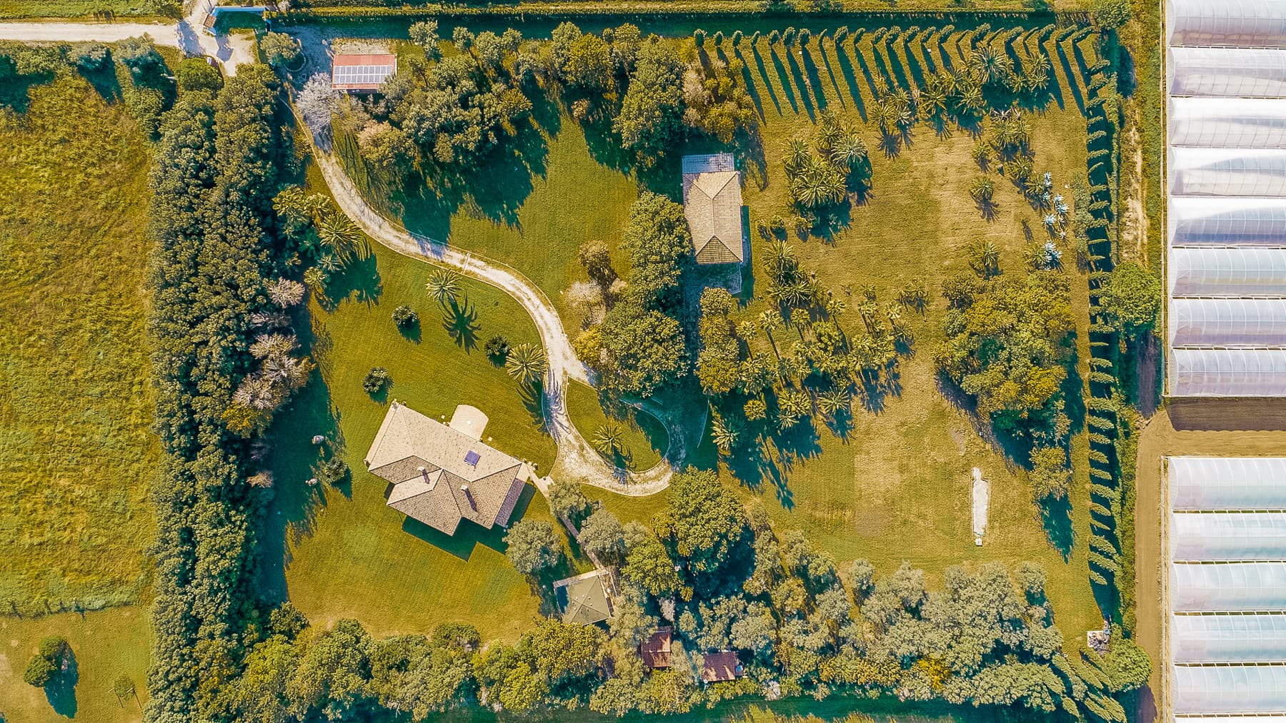 Big Image 9