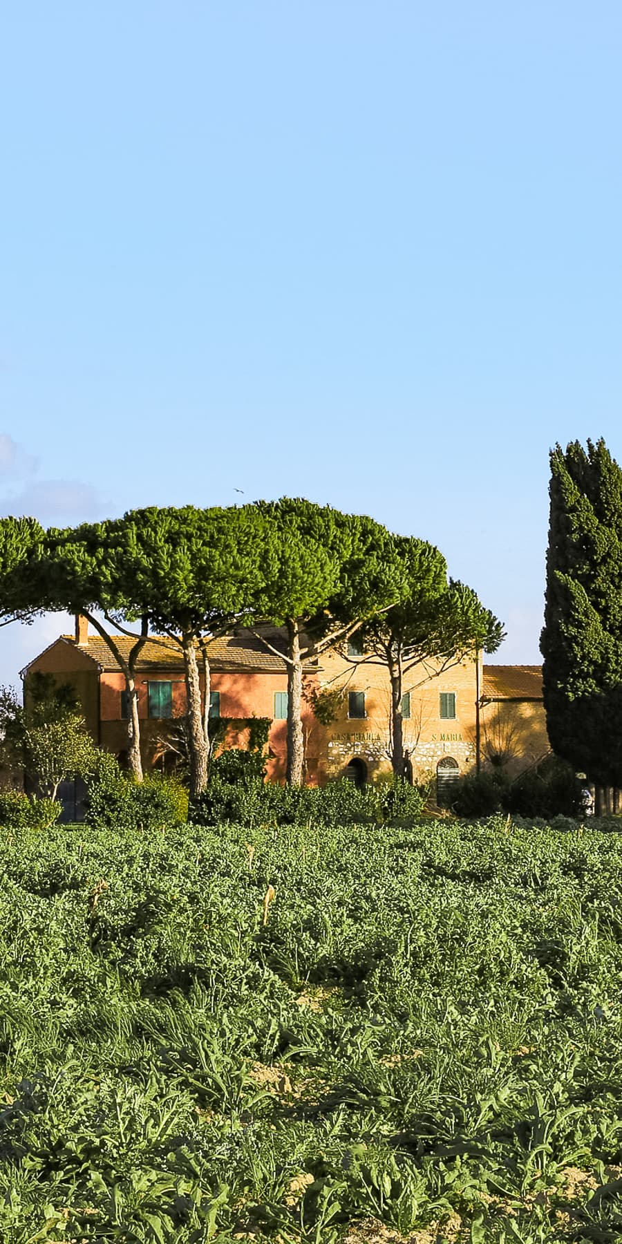 Charming Country House in Grosseto, Tuscany