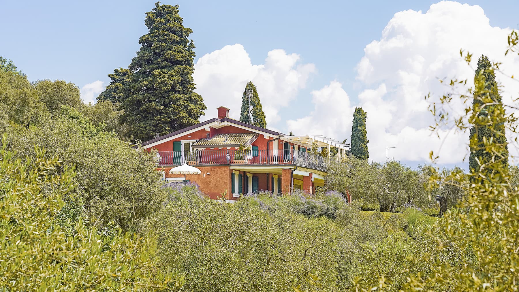 Big Image 16