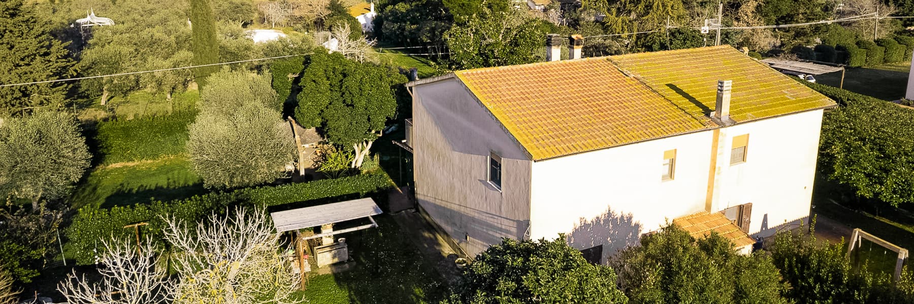 Casa indipendente a Capalbio, con terreno e uliveto