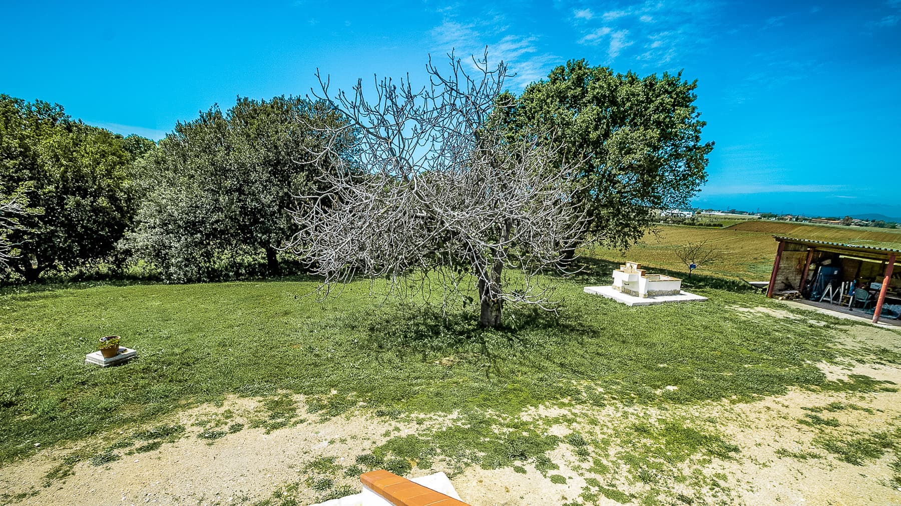 Big Image 14