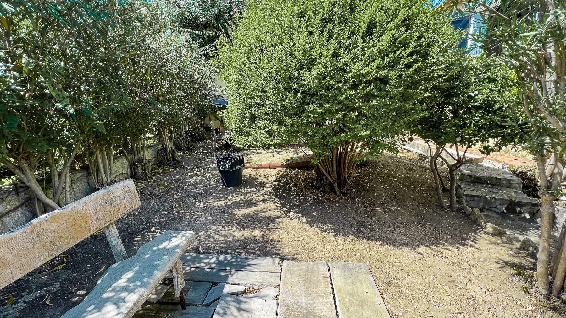 Big Image 15