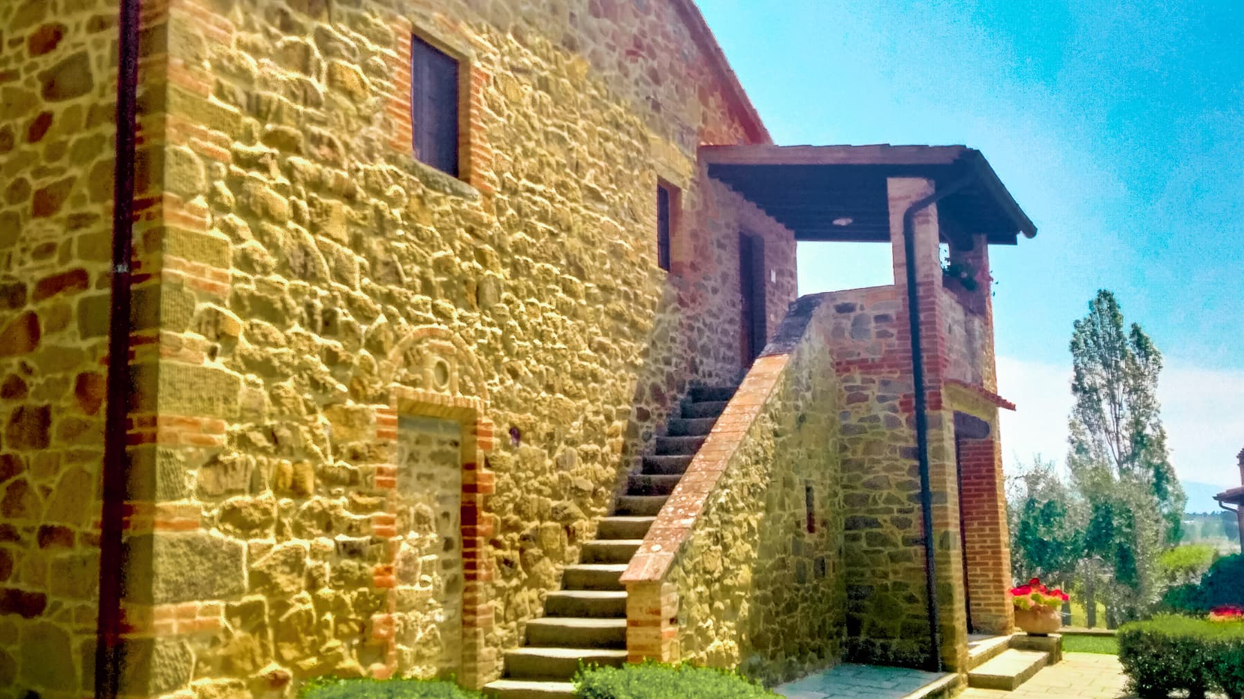 Big Image 1