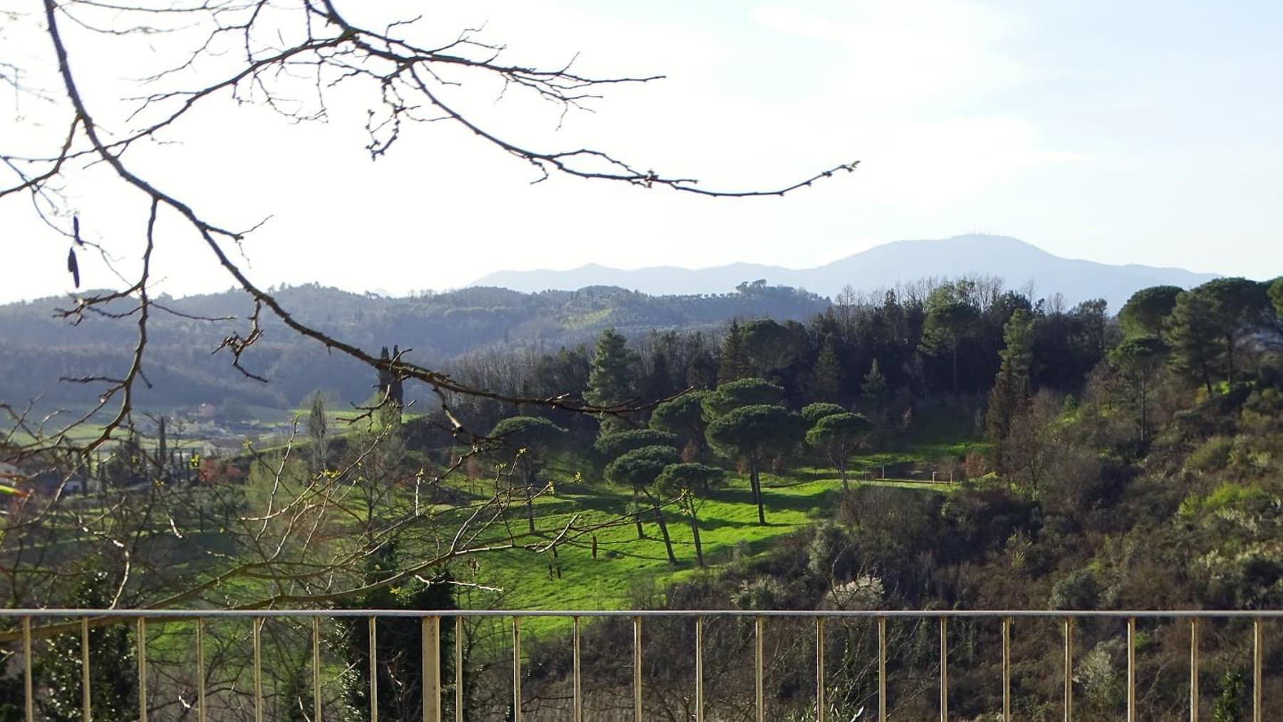 Big Image 12