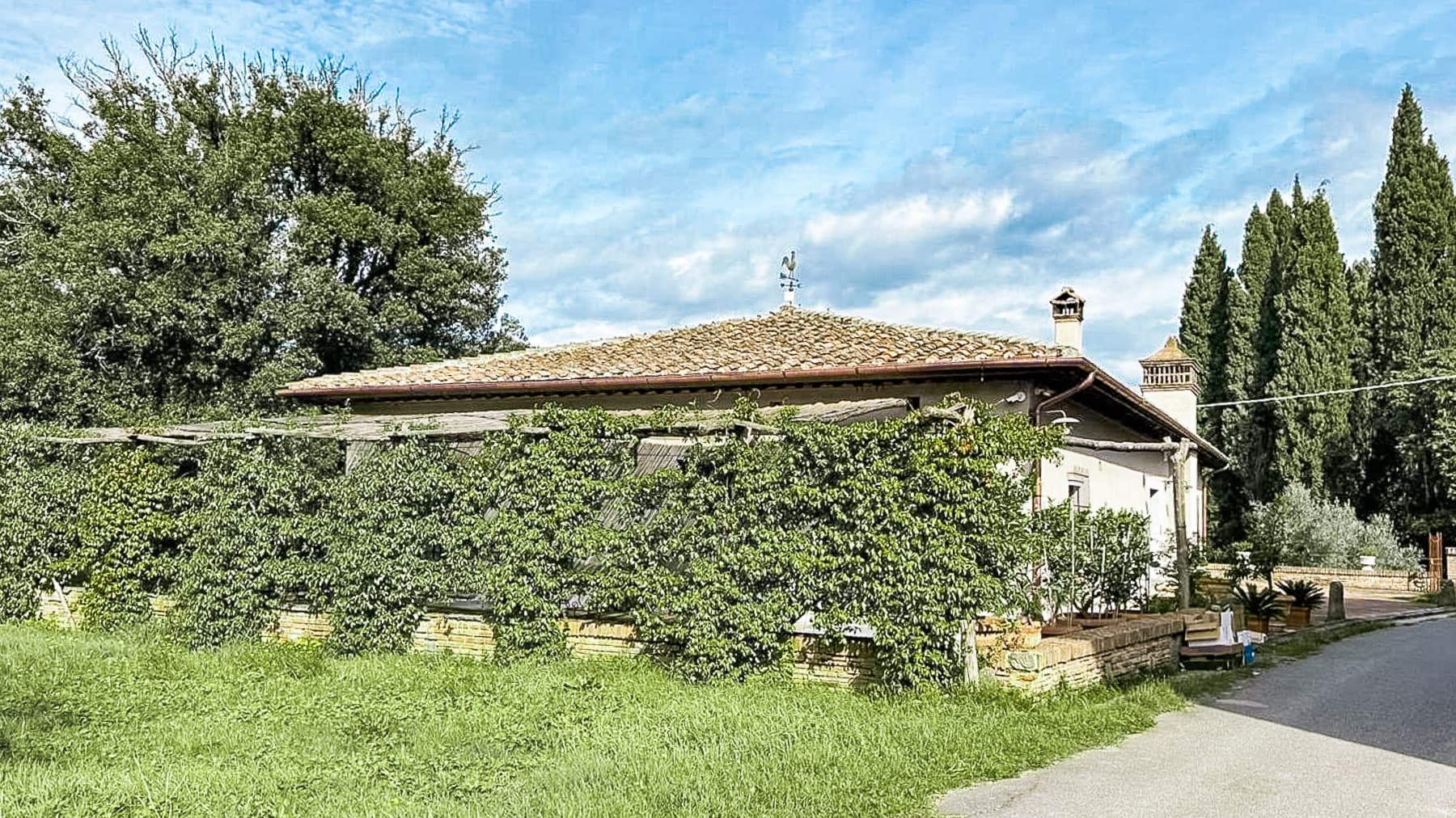 Big Image 16