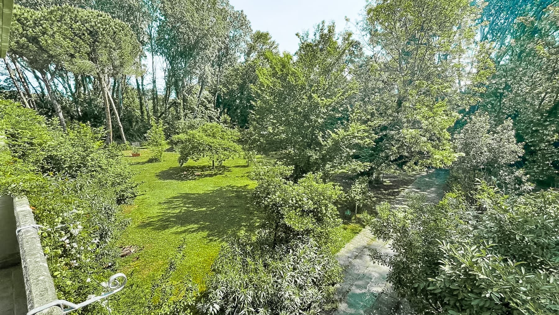Big Image 11