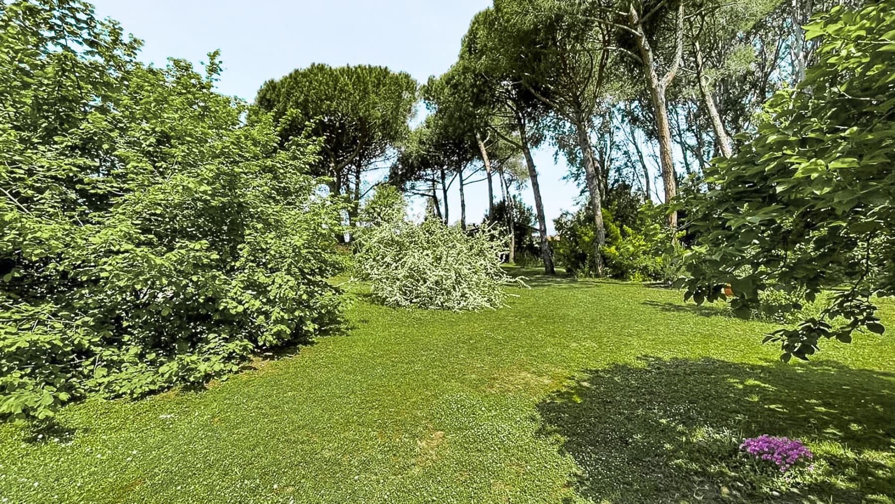 Big Image 13