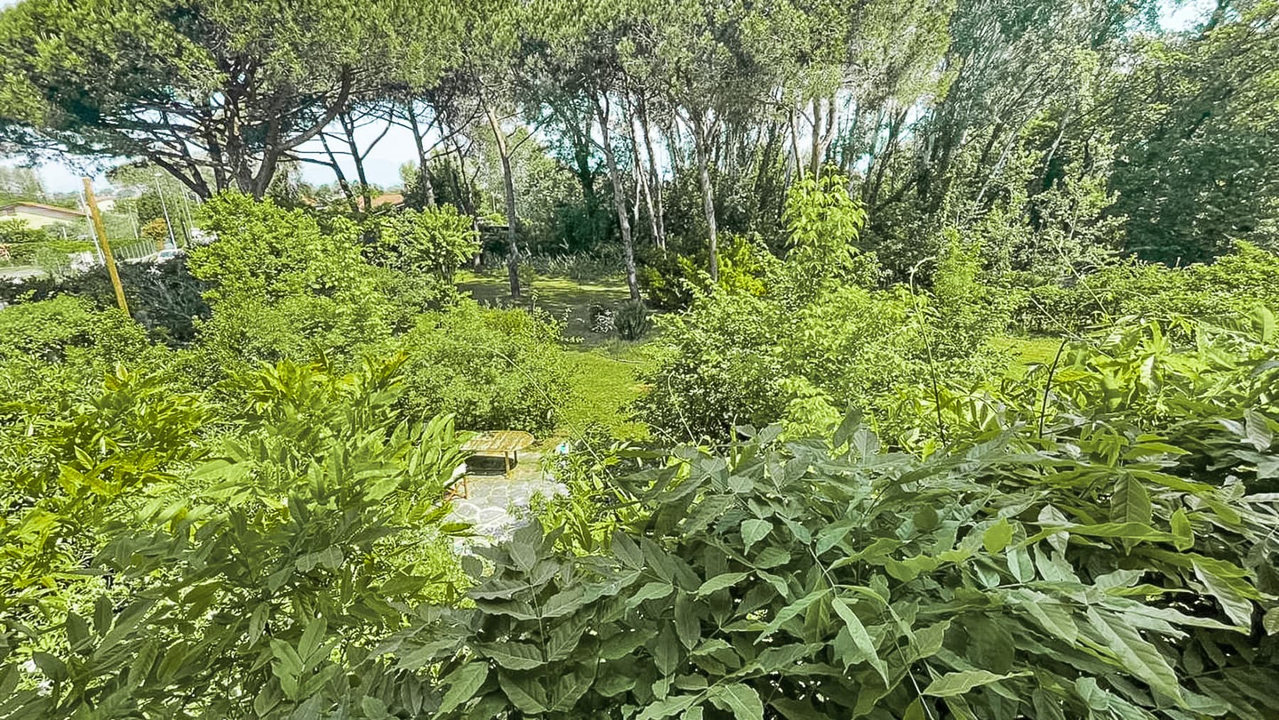 Big Image 14