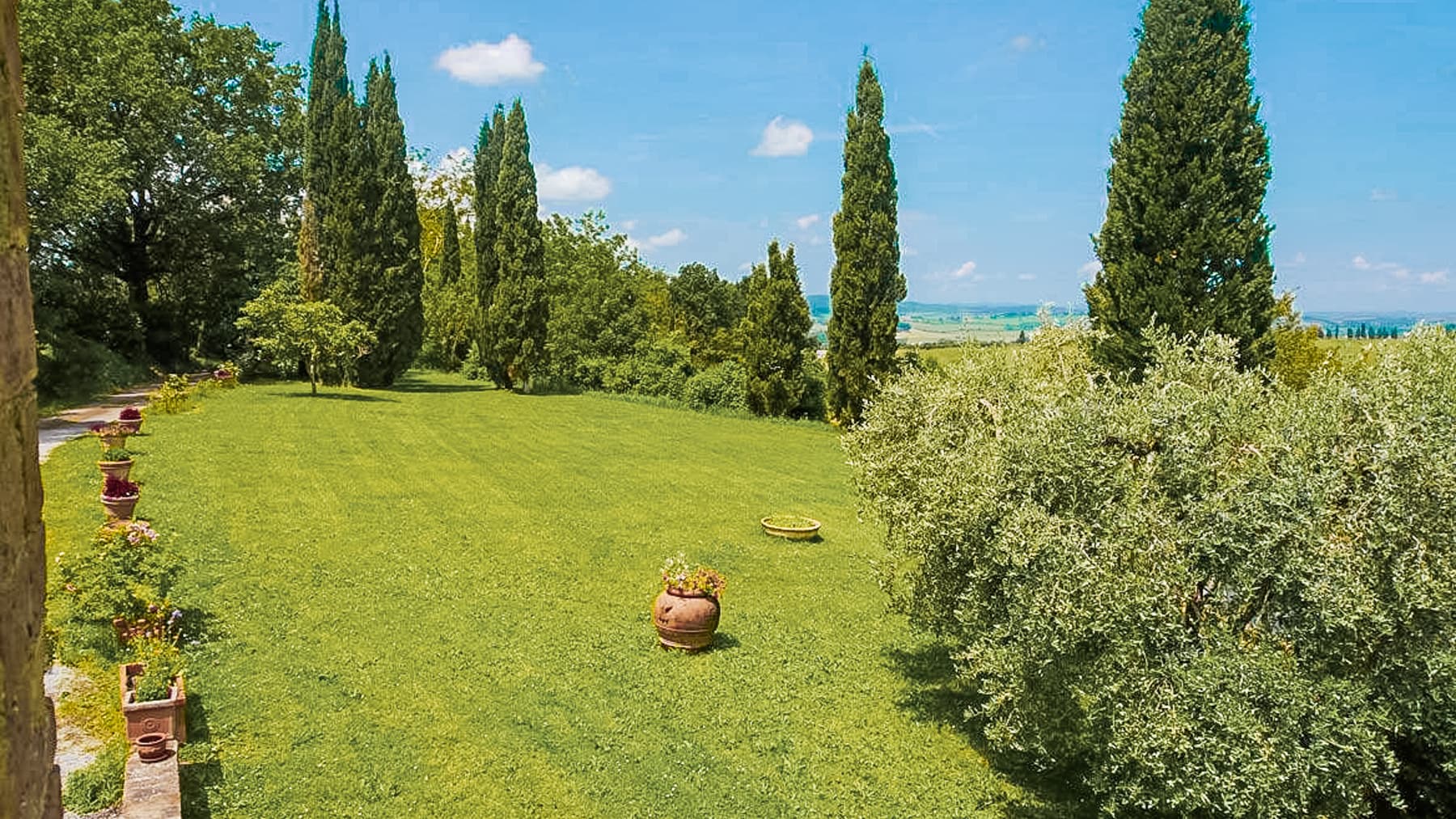 Big Image 19