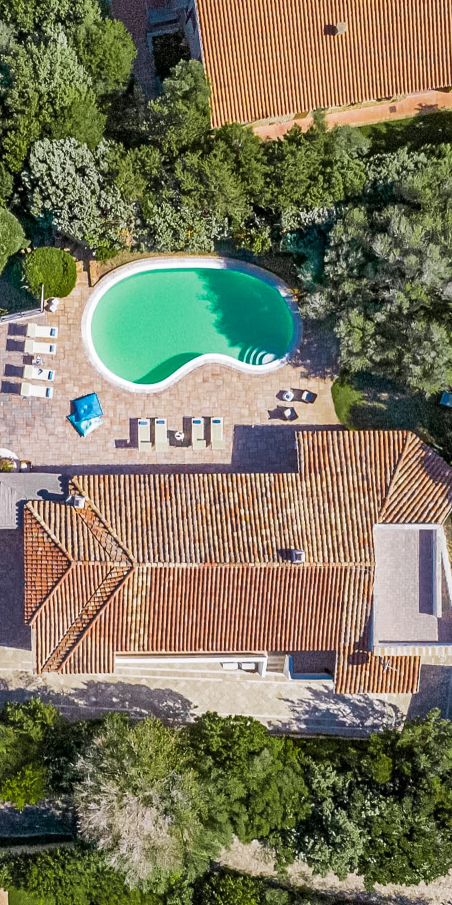 Charming Villa in Olbia, Sardinia with Stunning Views