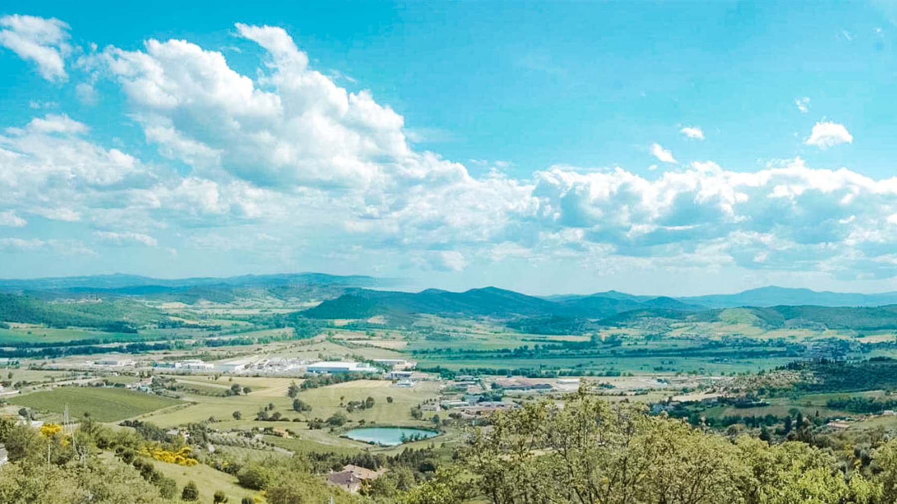 Big Image 11