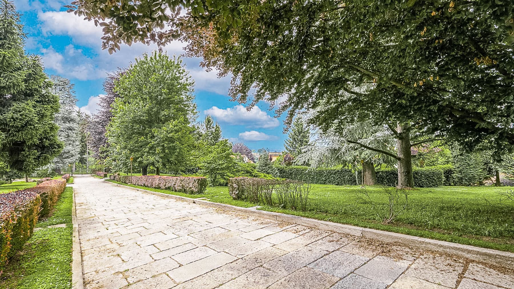 Big Image 26