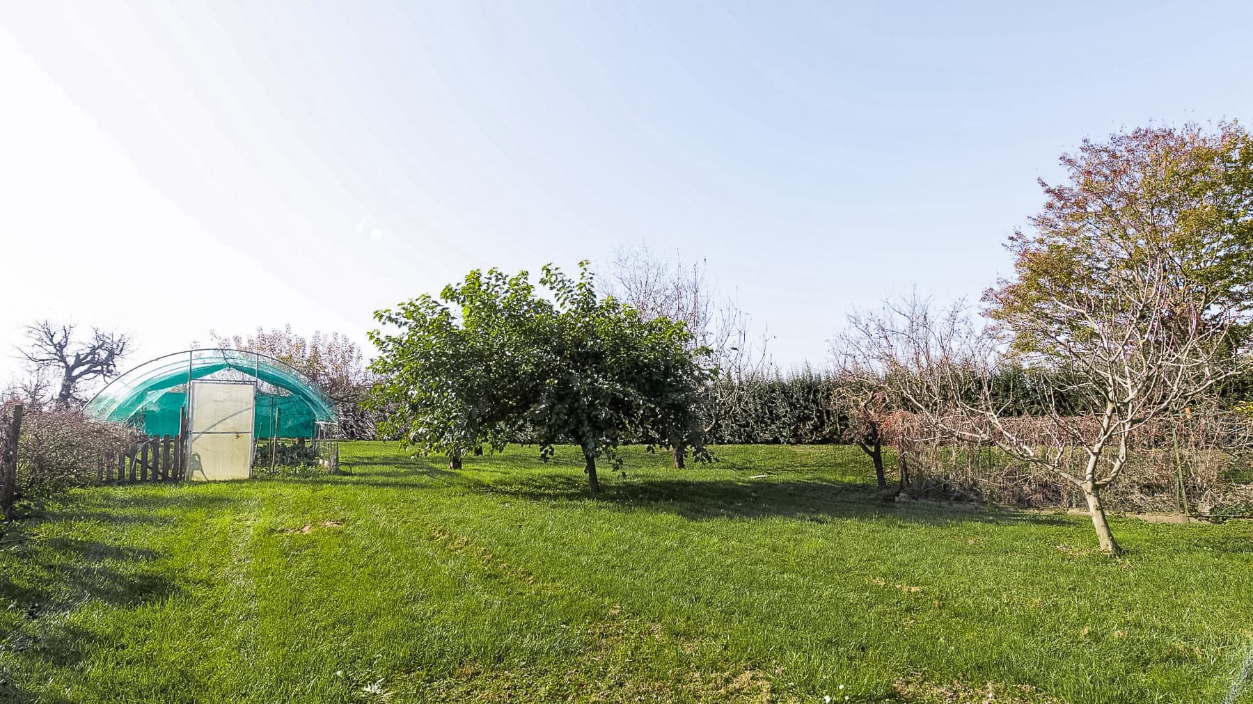 Big Image 15