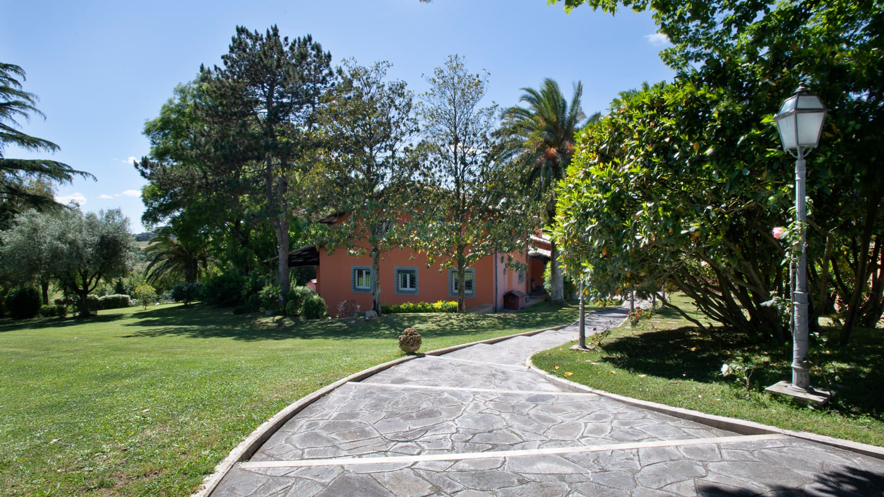 Big Image 13
