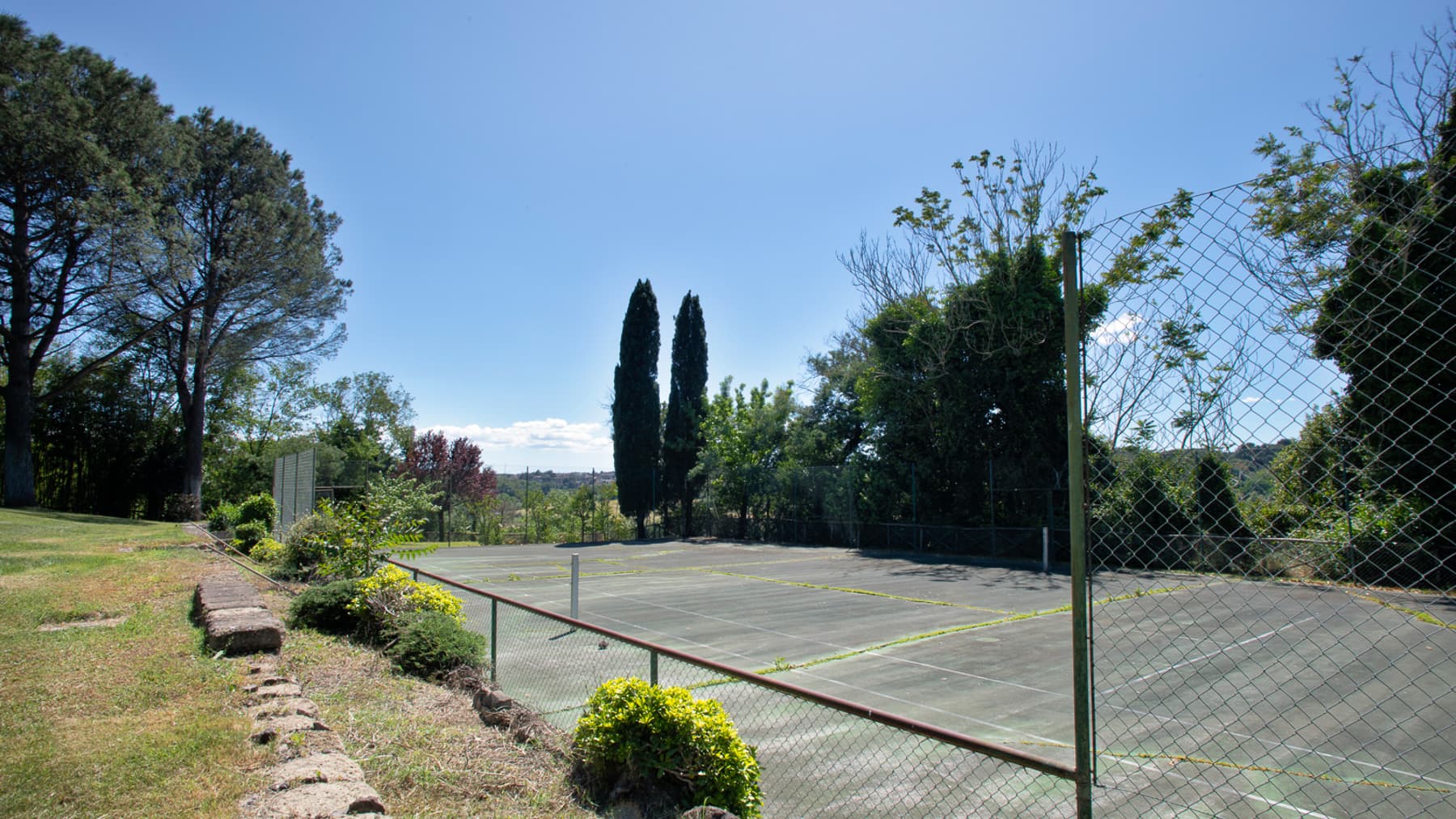 Big Image 16