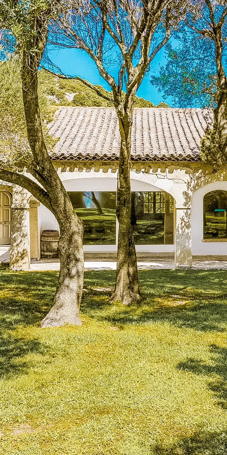 Charming Villa in Arzachena, Sardinia Countryside