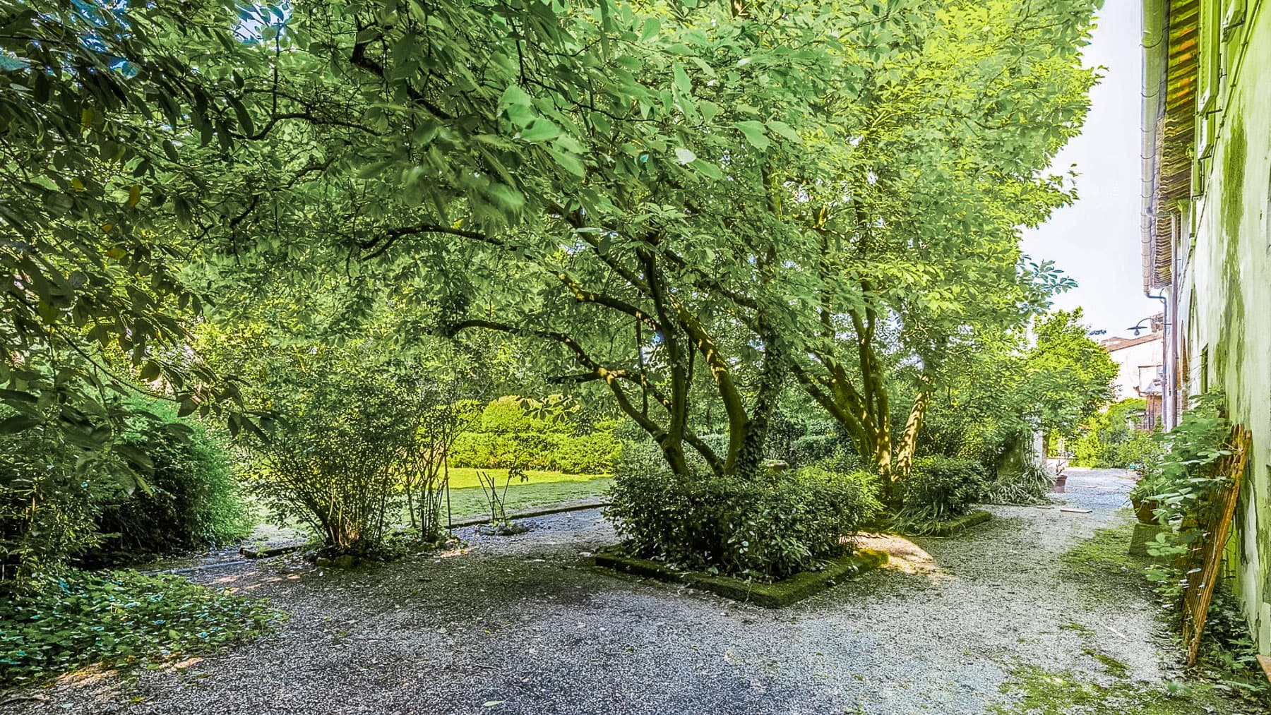 Big Image 5