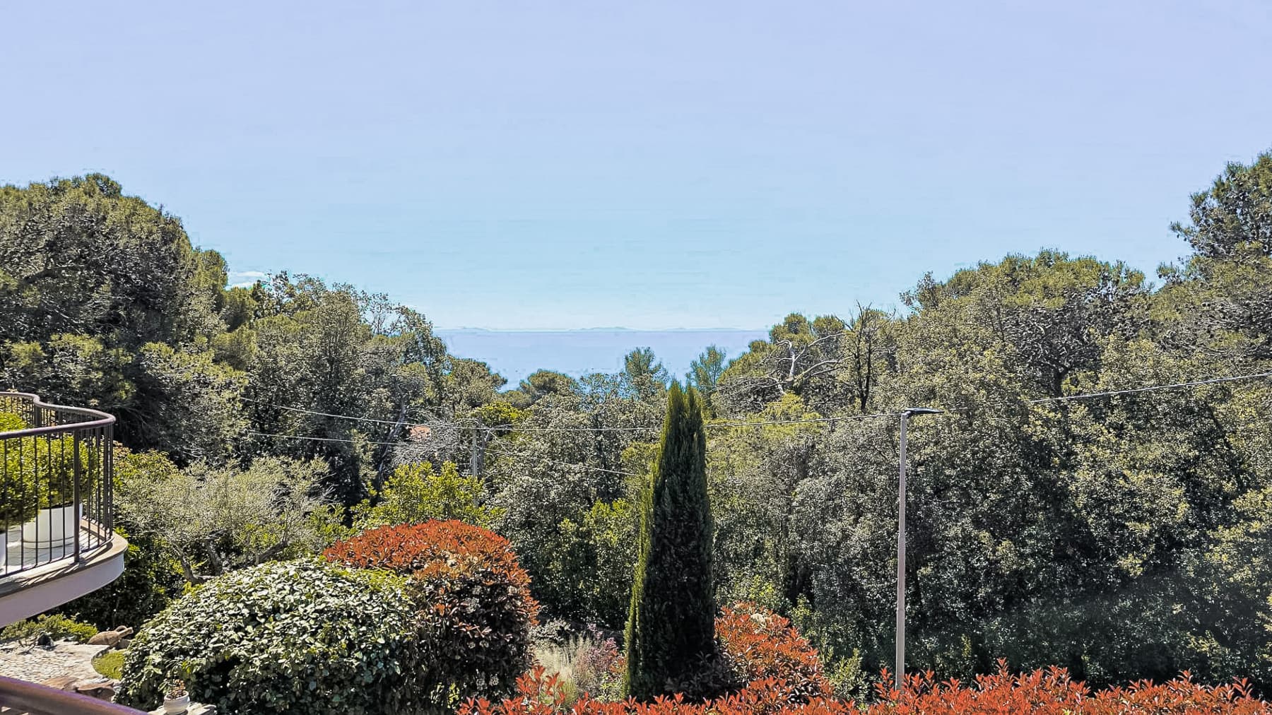 Big Image 6