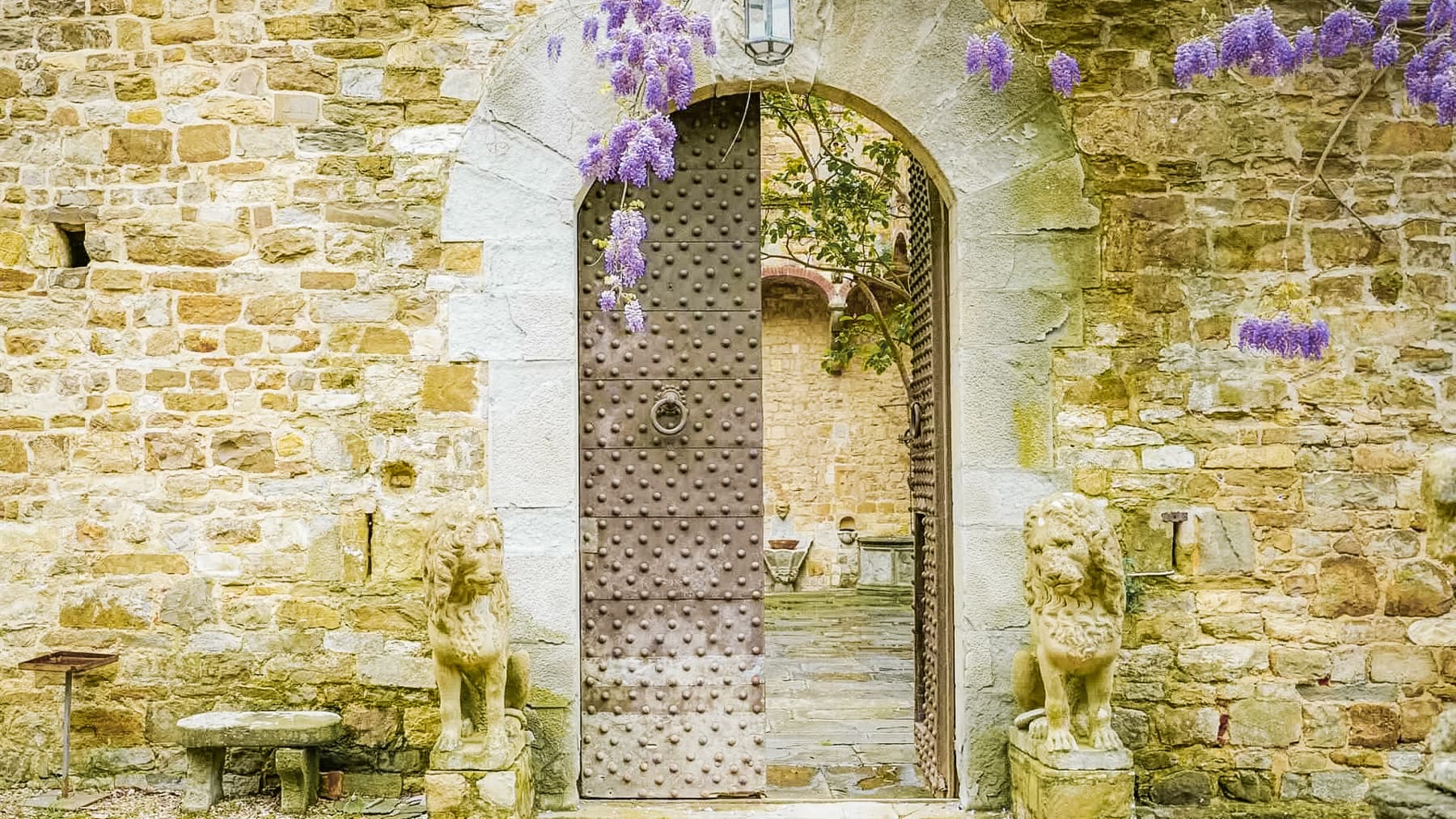 Big Image 8