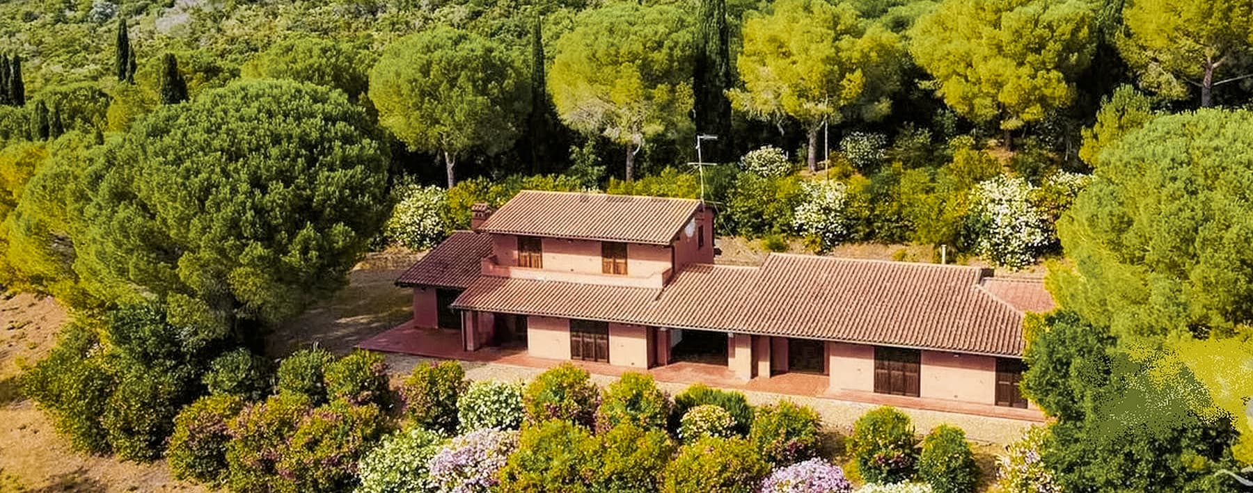 Panoramic Farm in Castiglione della Pescaia, Tuscany