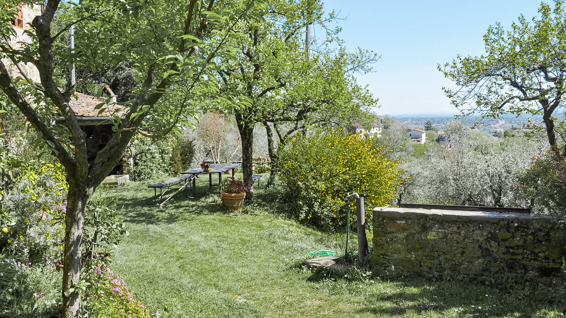 Big Image 19