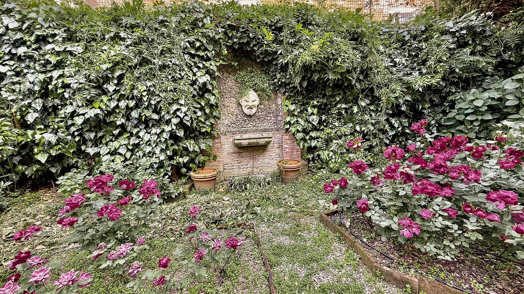 Big Image 16