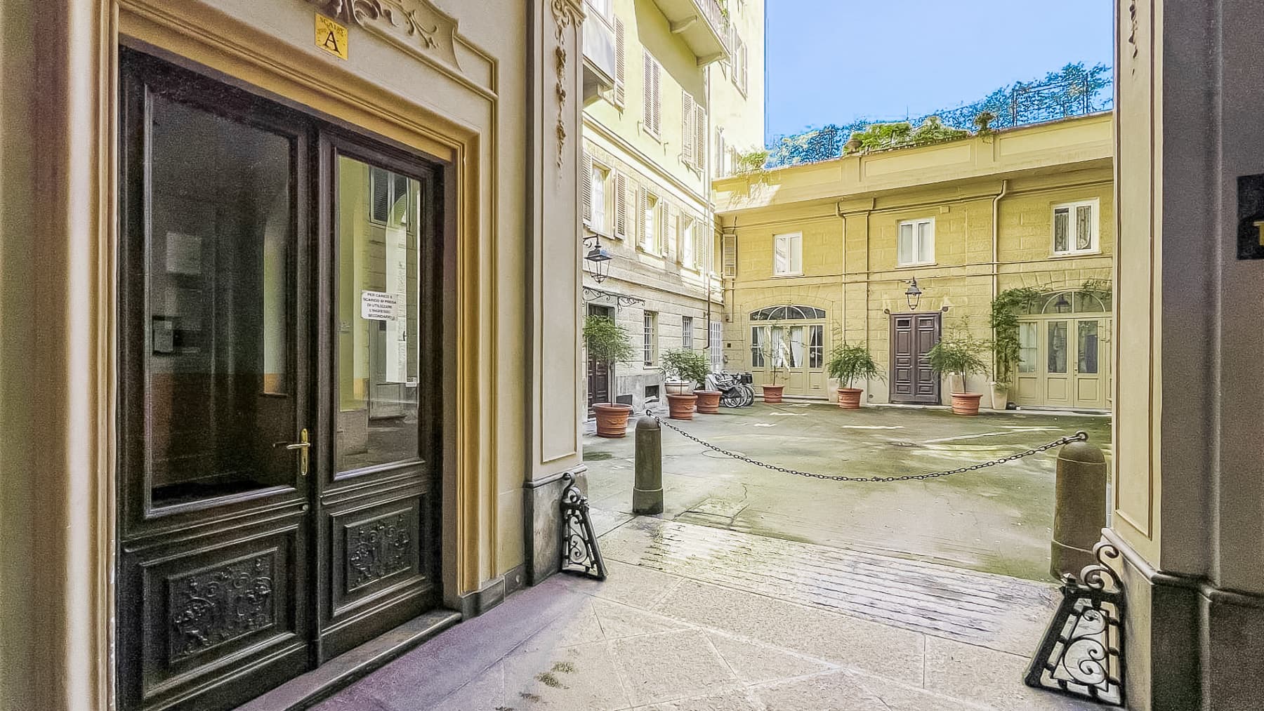 Big Image 5
