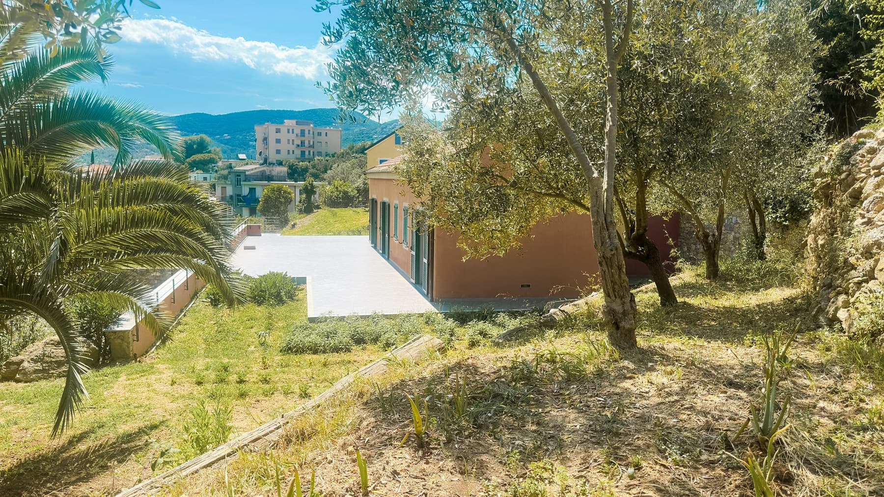 Big Image 6