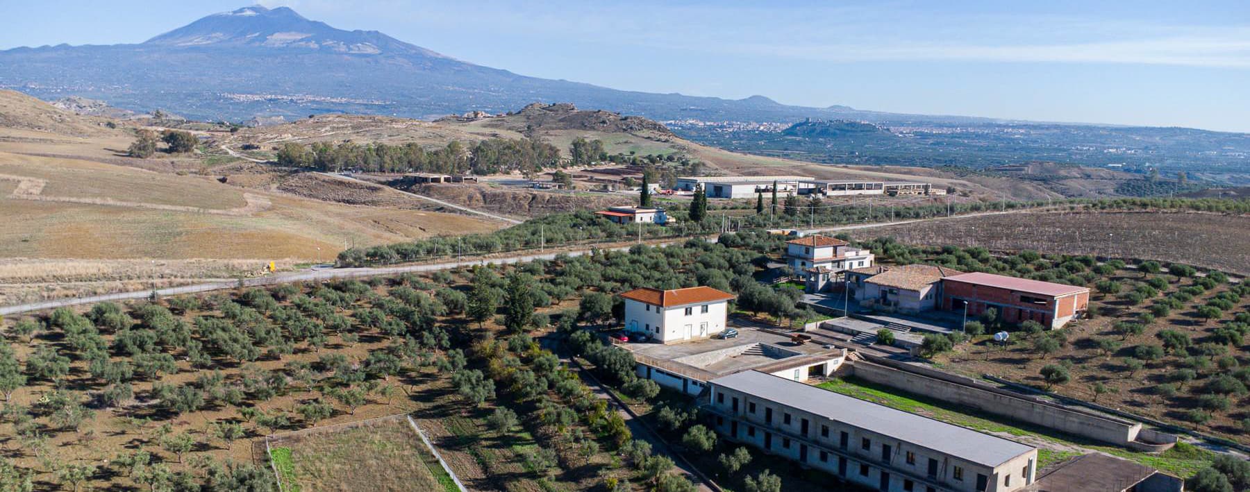 Azienda Agricola a Paternò con Terreno di 4.900 mq