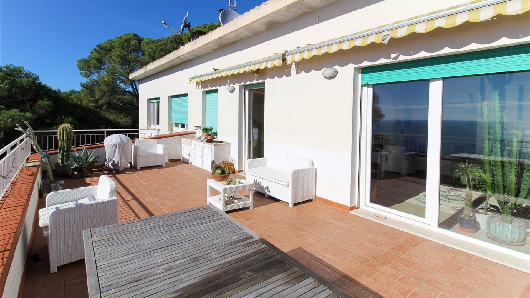Big Image 0