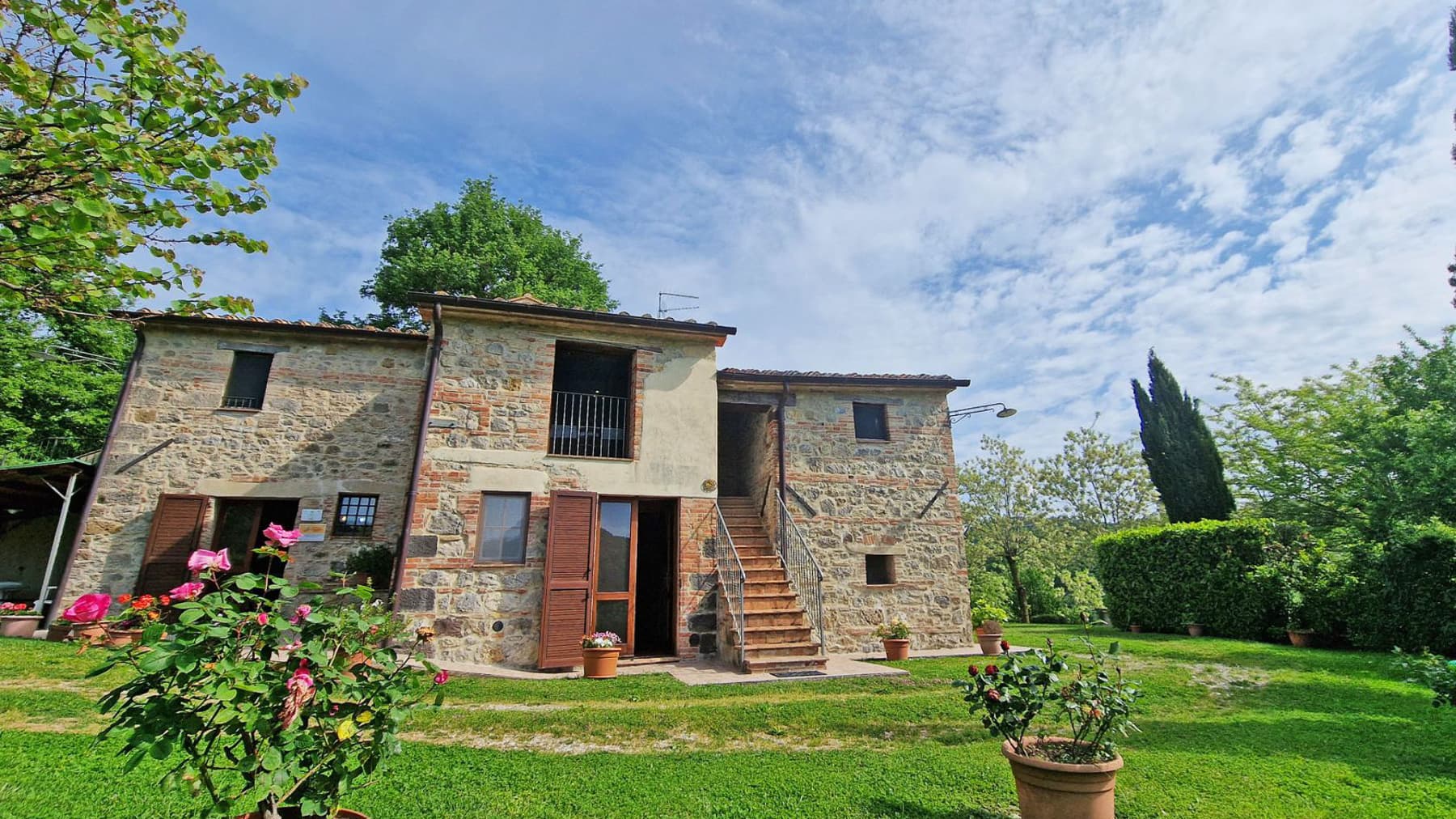 Big Image 19