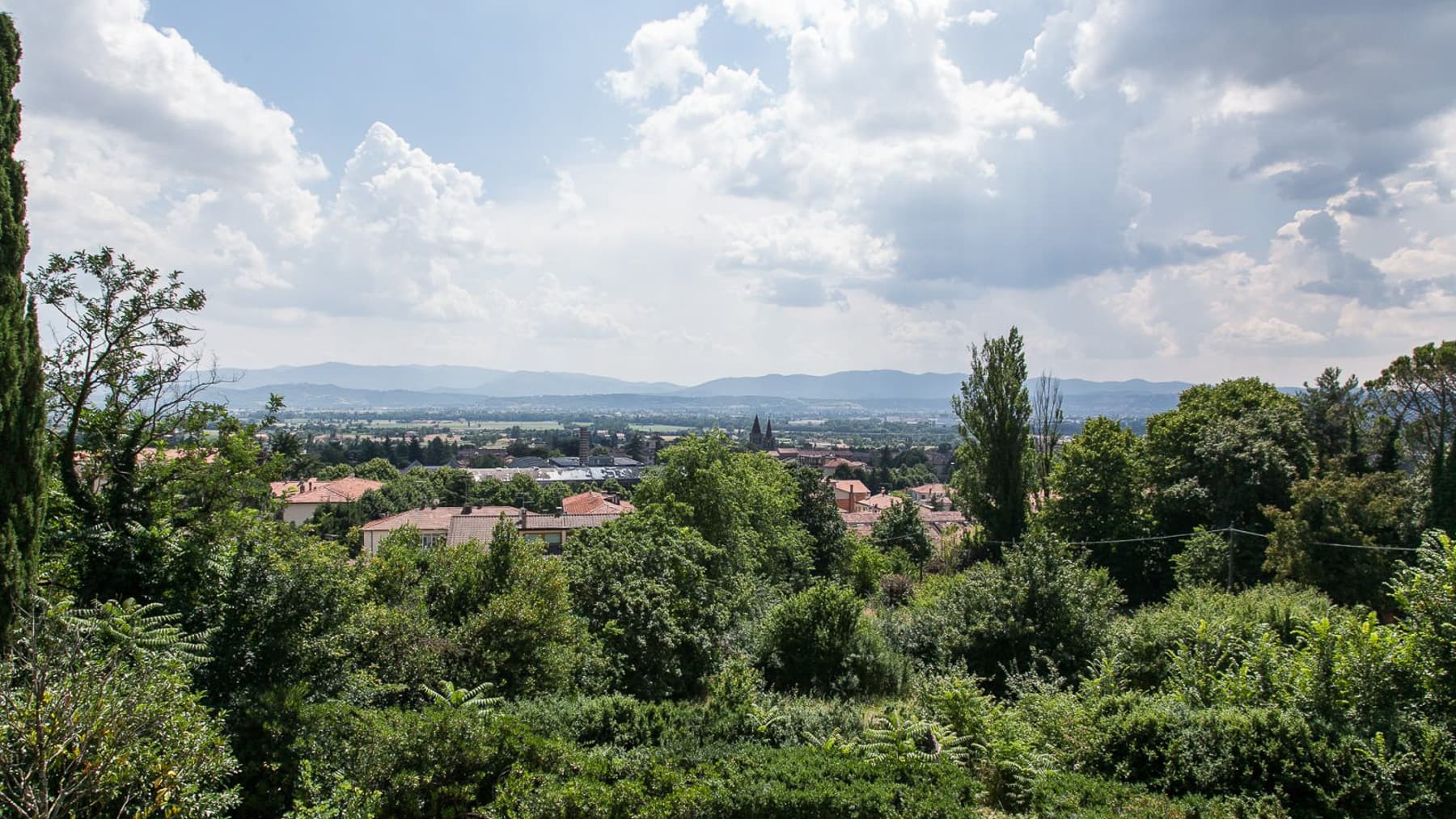 Big Image 19