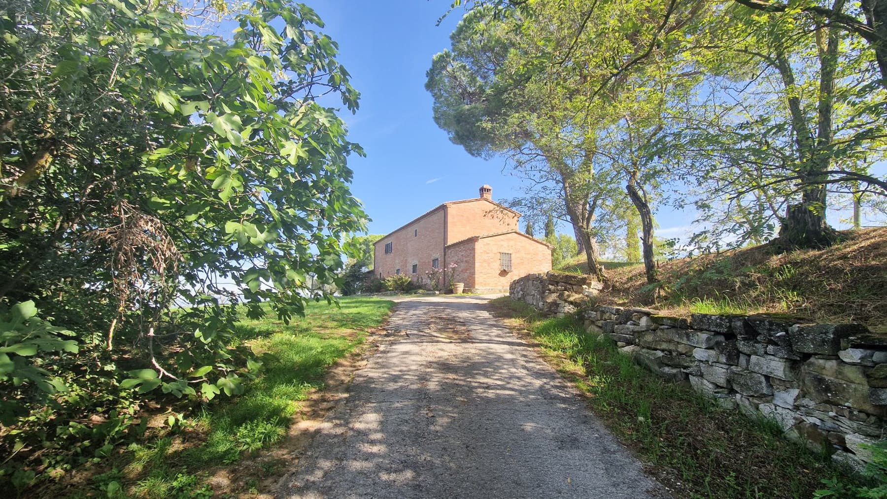 Big Image 18