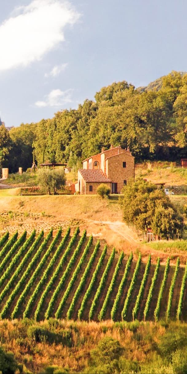 Azienda Agricola a Trequanda, nel cuore della Toscana