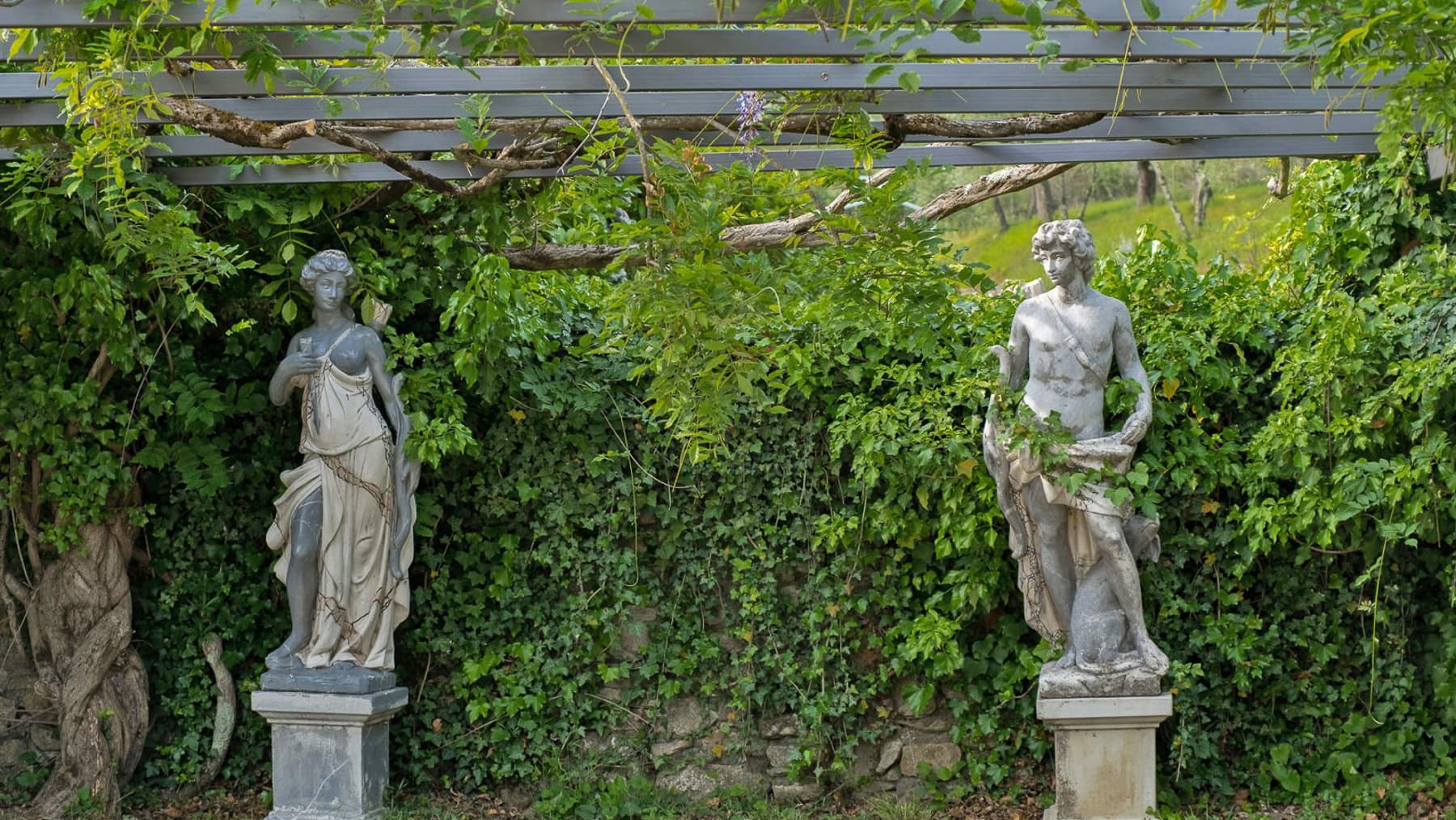 Big Image 20