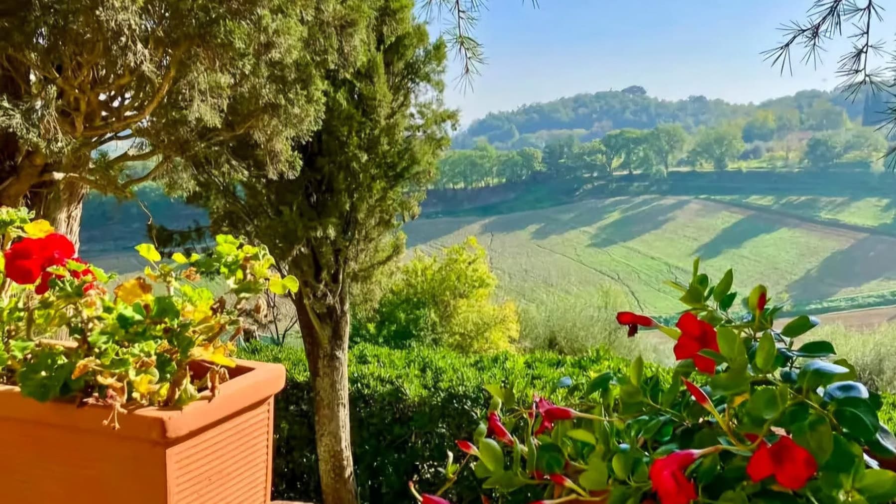 Big Image 14