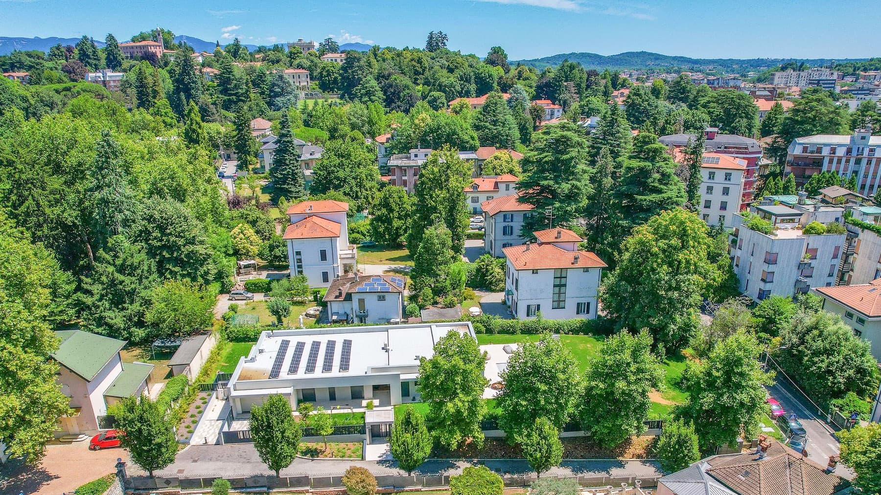 Big Image 23