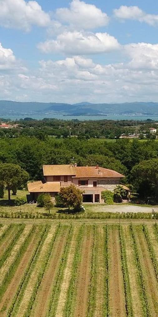 Azienda Agricola a Castiglione del Lago, Umbria