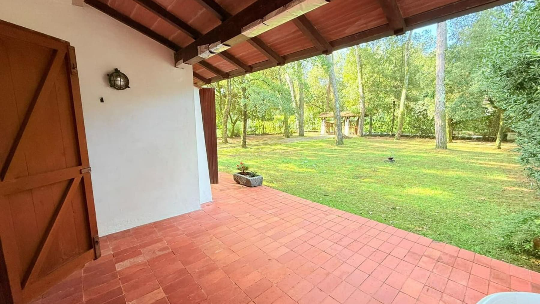 Big Image 20