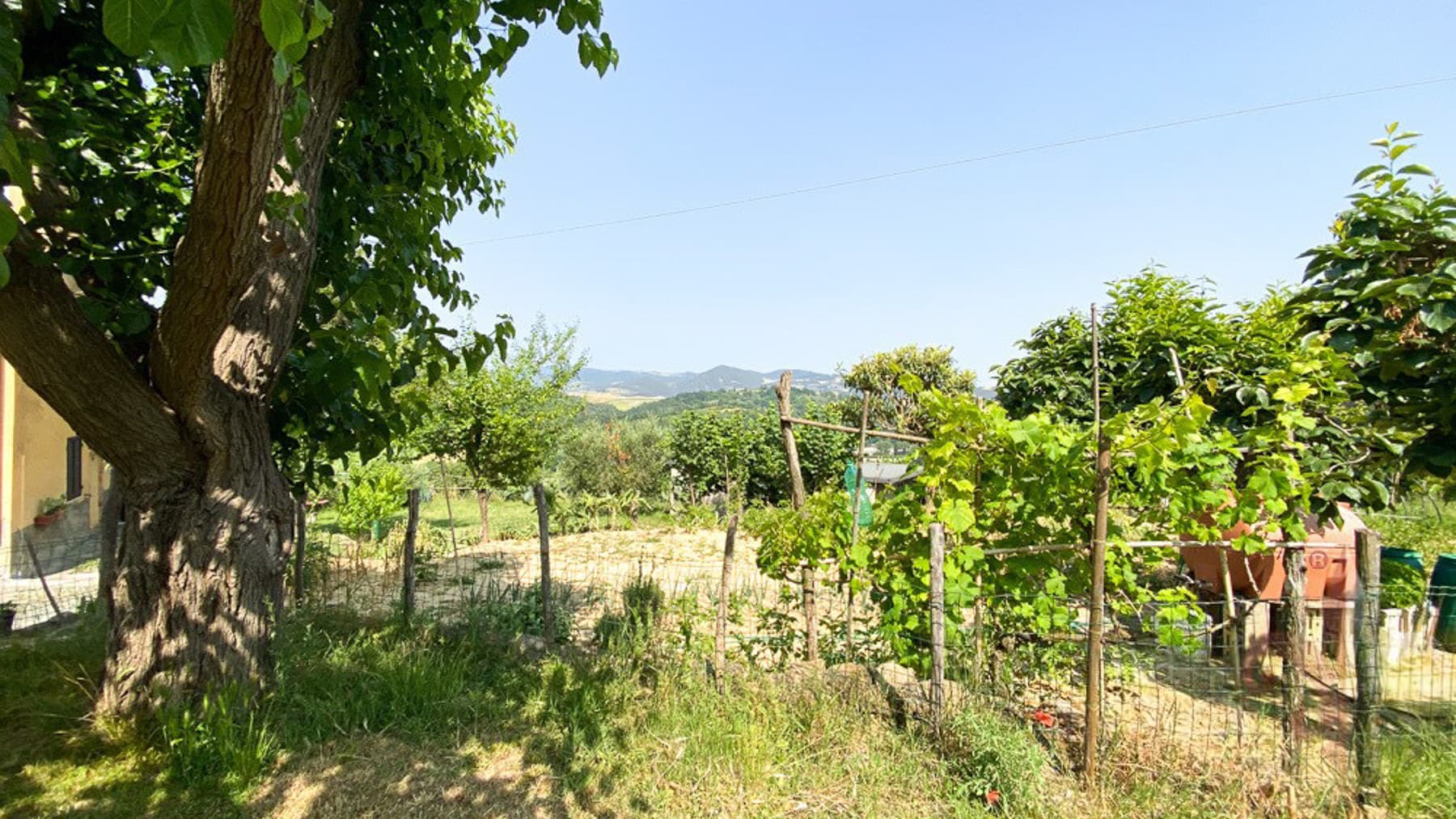 Big Image 18