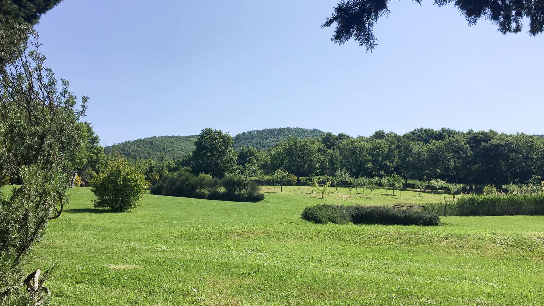 Big Image 15