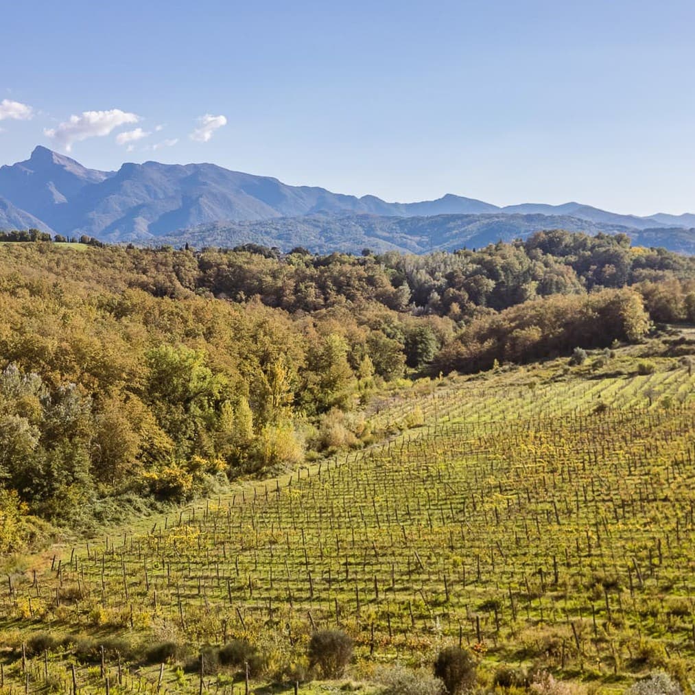 Charming Agritourism in Fivizzano, Tuscany
